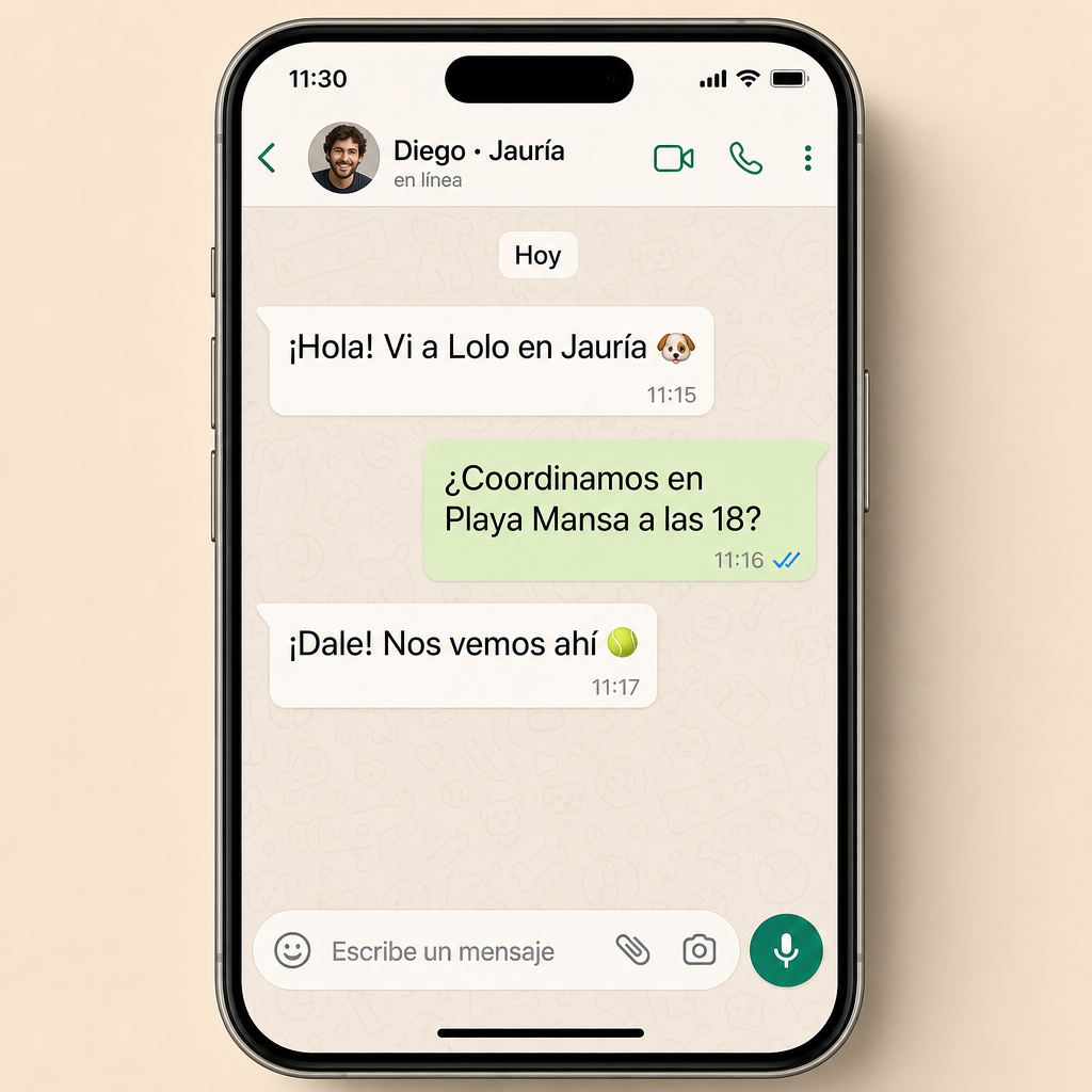 Mockup de una conversación de WhatsApp coordinando un encuentro en Playa Mansa